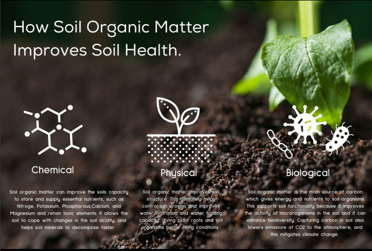 soil organic matter