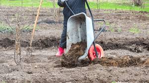 organic manure such as compost